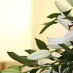 Schlosshotel Karlsruhe Ξενοδοχείο Καρλσρούη