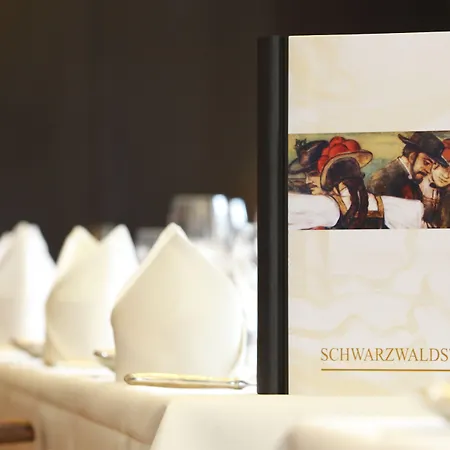 Schlosshotel Karlsruhe מלון