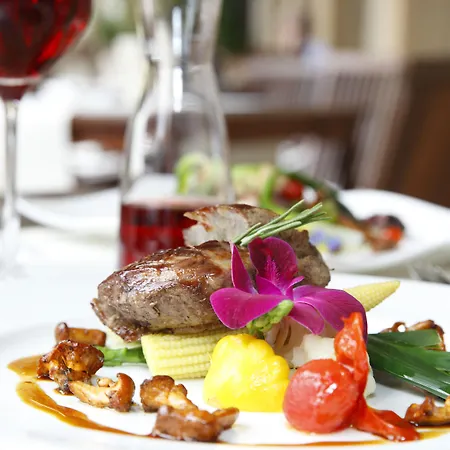 Schlosshotel Karlsruhe מלון 4*