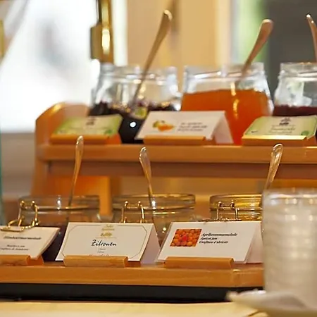 Schlosshotel Karlsruhe מלון 4*