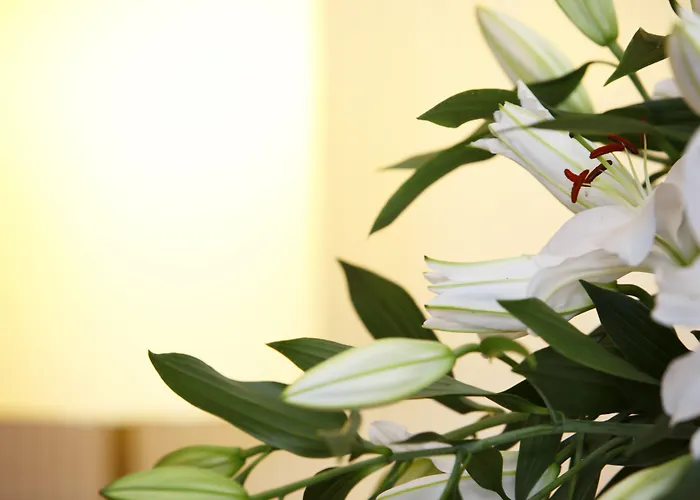 Schlosshotel Karlsruhe Hotel