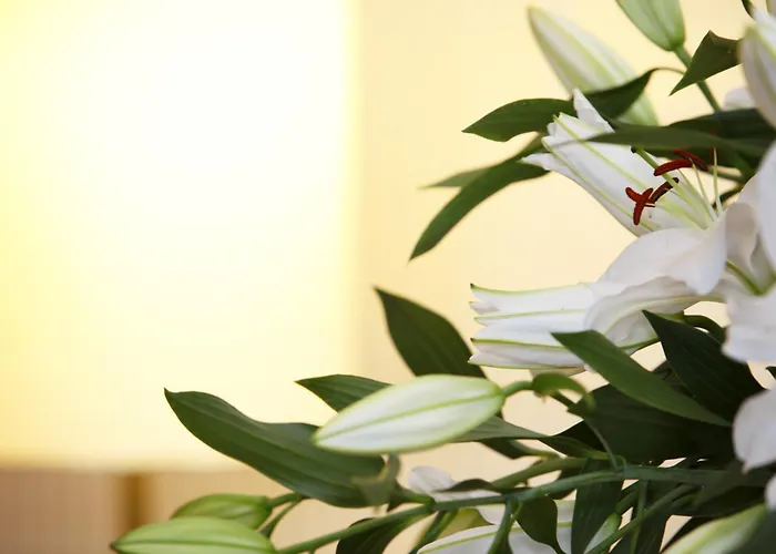 Schlosshotel Karlsruhe Hotel Karlsruhe